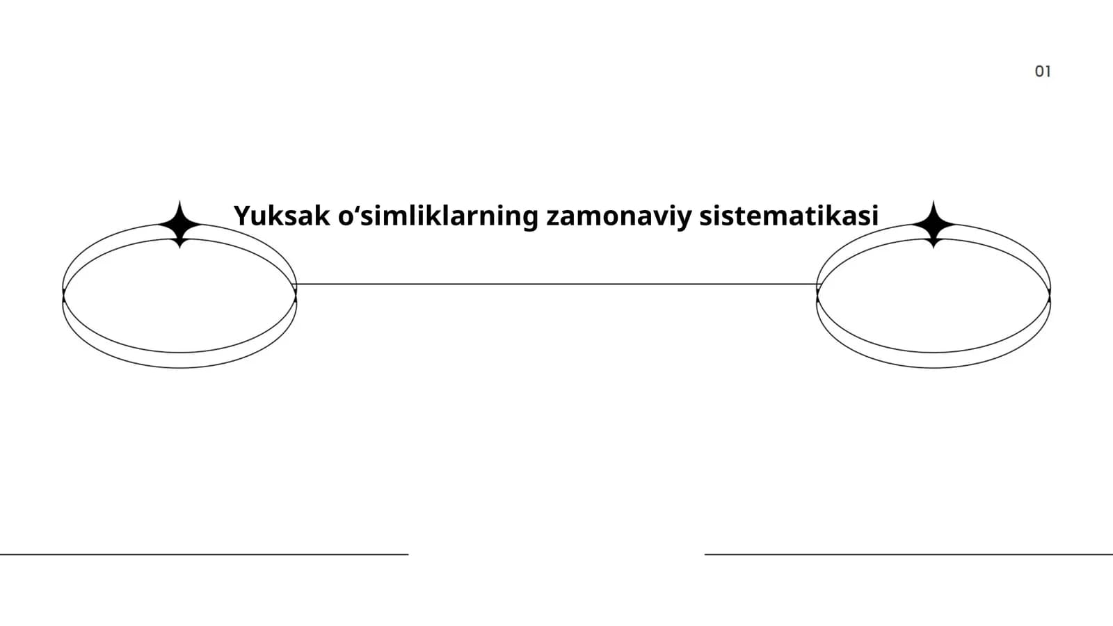 Yuksak oʻsimliklarning zamonaviy sistematikasi