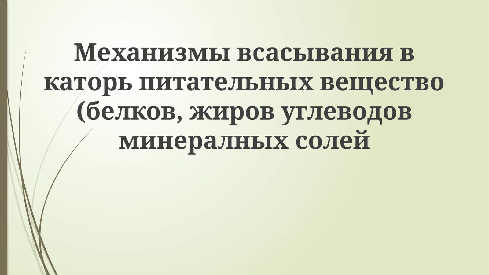Механизмы всасывания в каторь питательных веществ (белков, жиров, углеводов, минеральных солей)