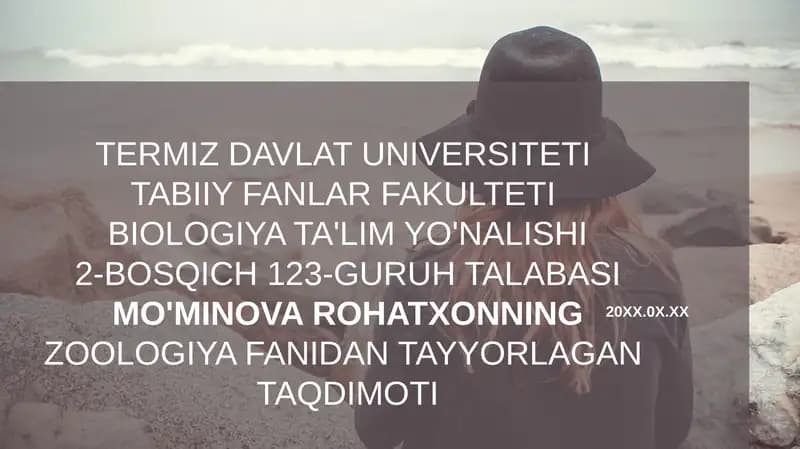 Qorinoyoqlilar (Gastropoda) mollyuskalar sinfi