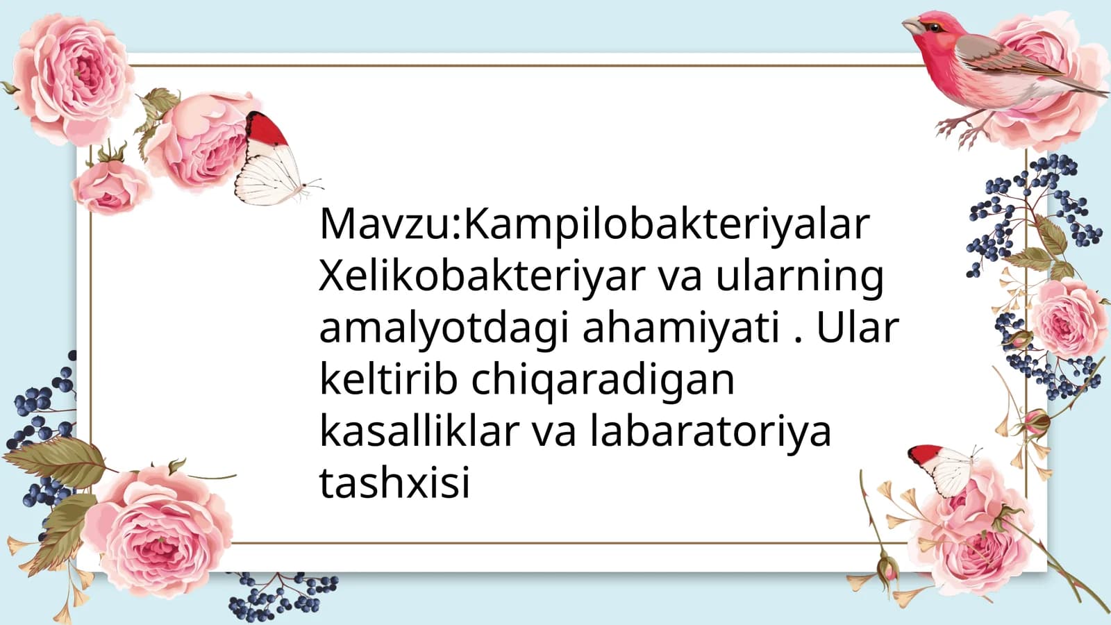 Kampilobakteriyalar va xelikobakteriyalarningumumiy tavsifi