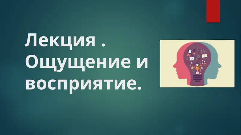 Лекция Ощущение и восприятие
