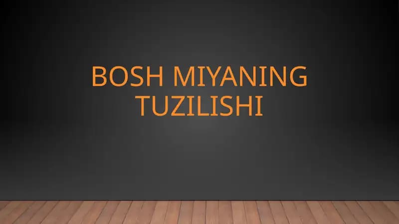 BOSH MIYANING TUZILISHI
