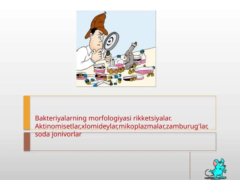 Bakteriyalarning morfologiyasi rikketsiyalar.