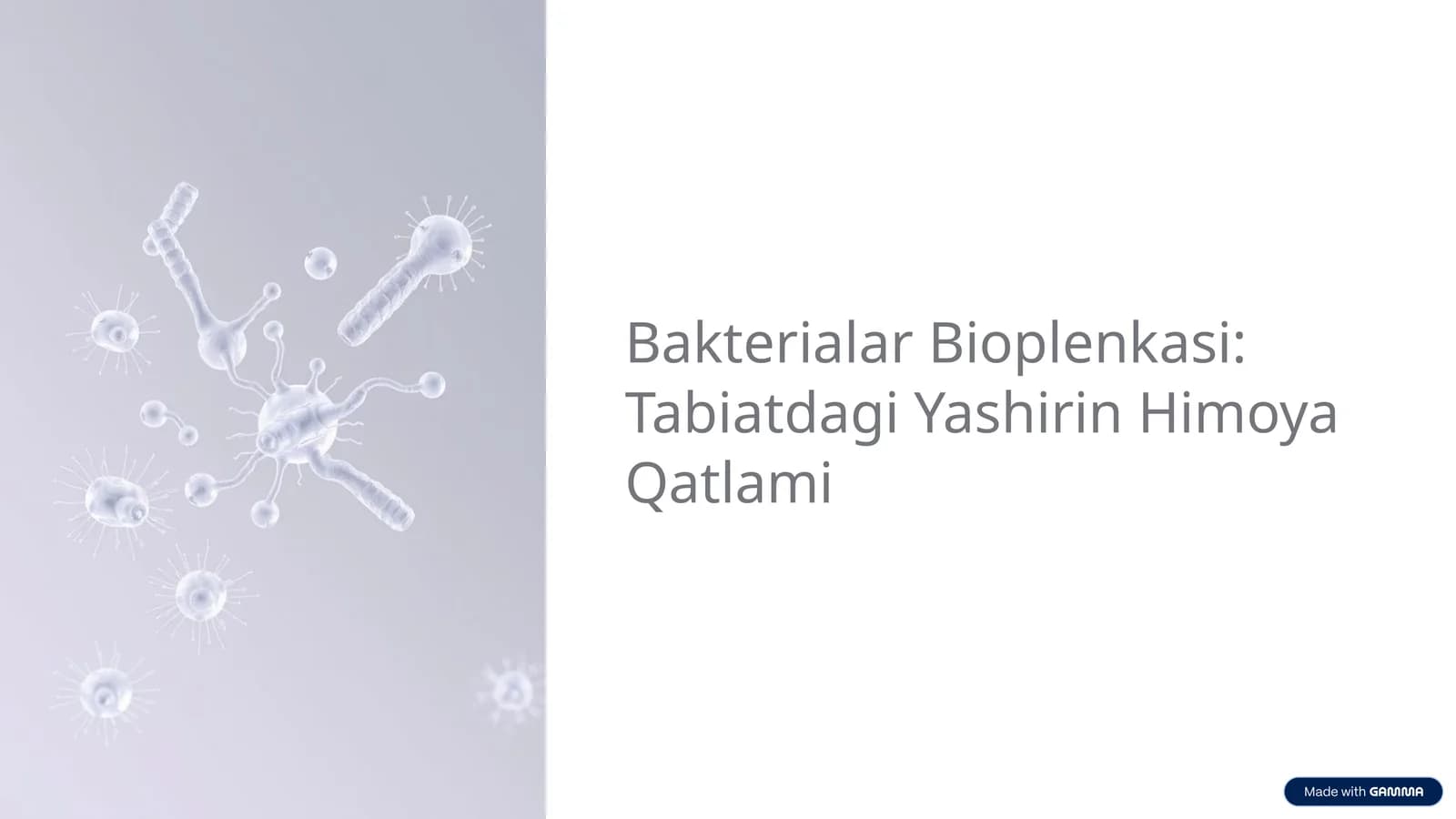 Bakterialar Bioplenkasi: Tabiatdagi Yashirin Himoya Qatlami