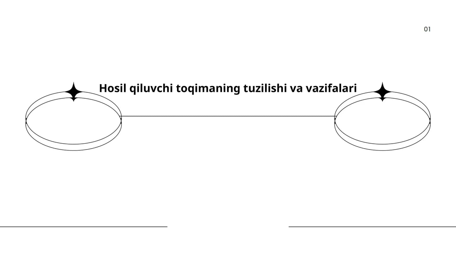Tirik to'qima turlari, tuzilishi va vazifalari
