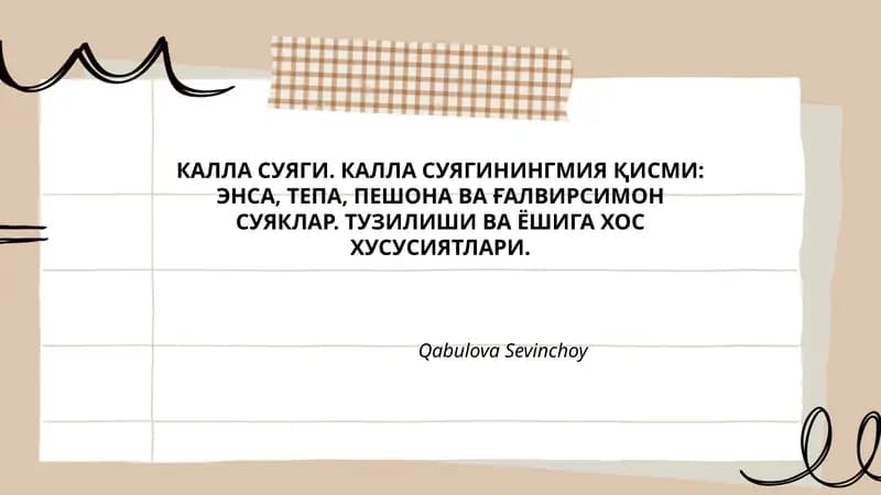 КАЛЛА СУЯГИ. КАЛЛА СУЯГИНИНГМИЯ ҚИСМИ: ЭНСА, ТЕПА, ПЕШОНА ВА ҒАЛВИРСИМОН СУЯКЛАР. ТУЗИЛИШИ ВА ЁШИГА ХОС ХУСУСИЯТЛАРИ.