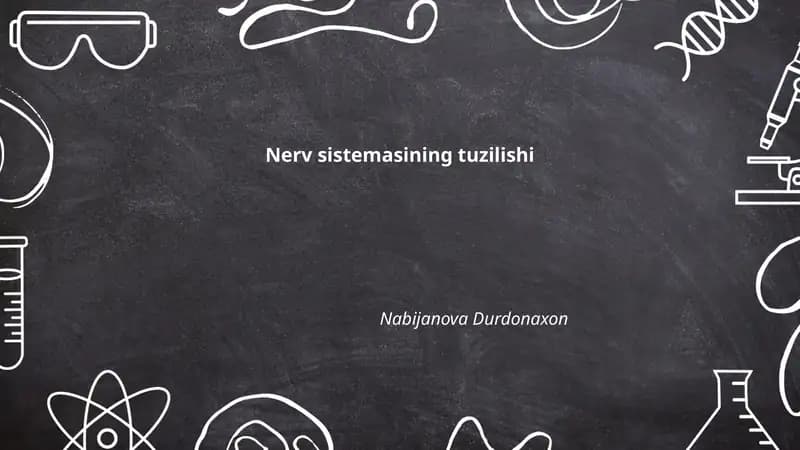 Nerv sistemasining tuzilishi