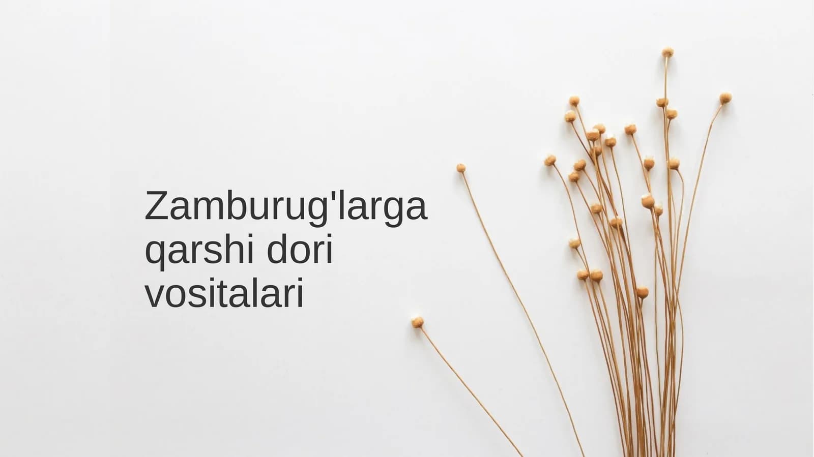 Zamburug'larga qarshi dori vositalari