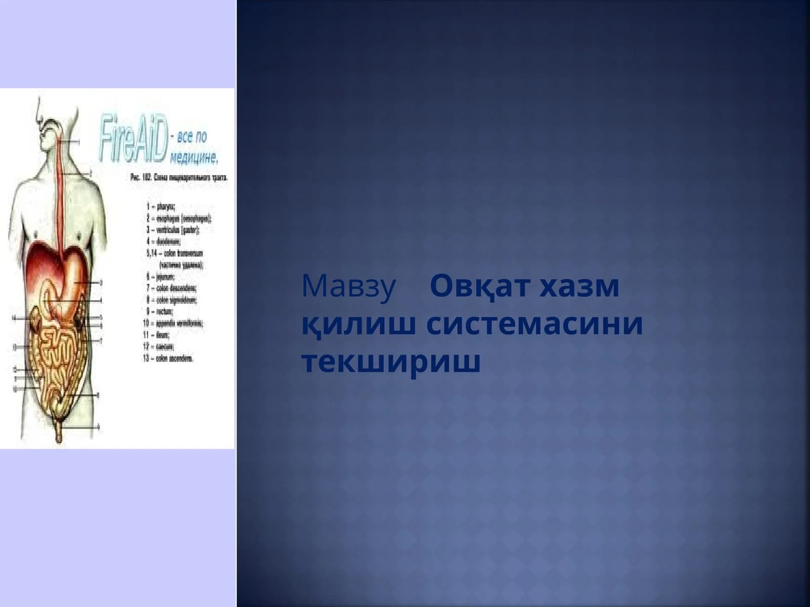 Овқат хазм қилиш системасини текшириш