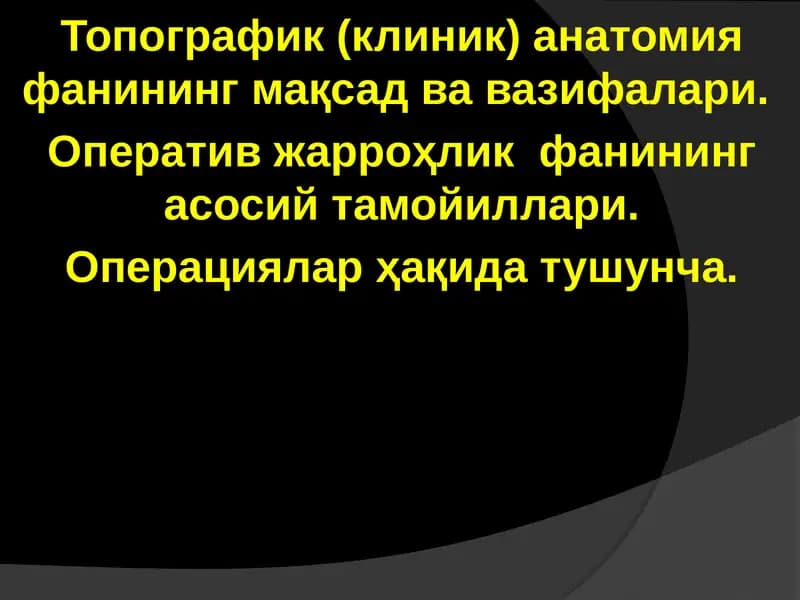 Топографиканатомия