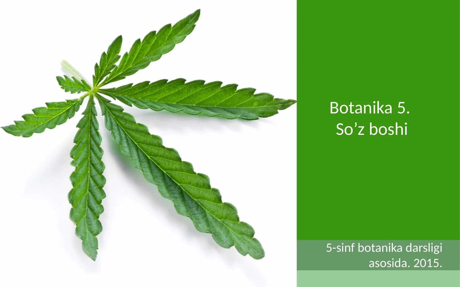 Botanika 5.So’z boshi