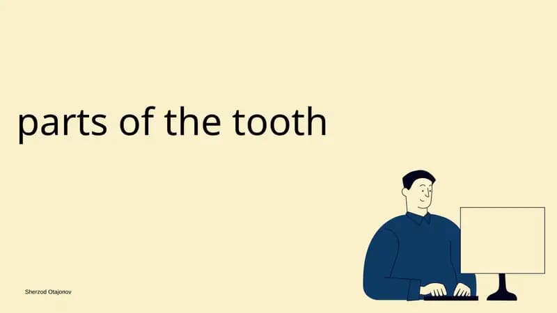 Parts of the tooth