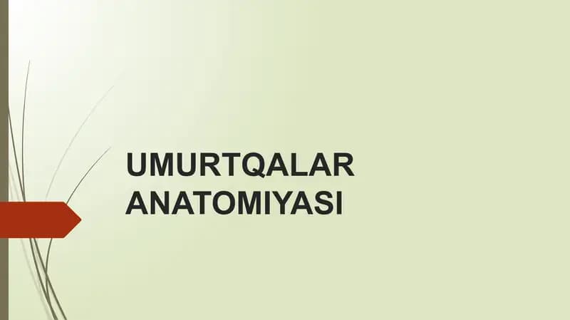 UMURTQALAR ANATOMIYASI