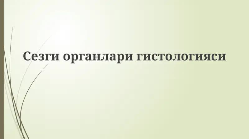 Sezgi organlarining gistologiyasi