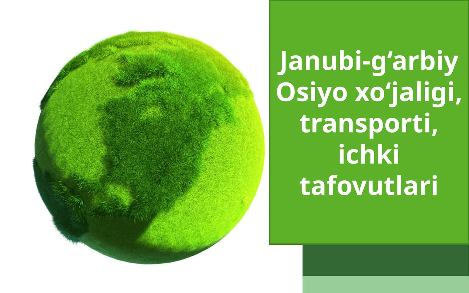 Janubi-g‘arbiy Osiyo xo‘jaligi, transporti, ichki tafovutlari