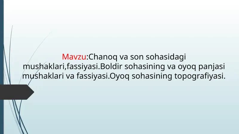 Chanoq va son sohasidagi mushaklari,fassiyasi.Boldir sohasining va oyoq panjasi mushaklari va fassiy