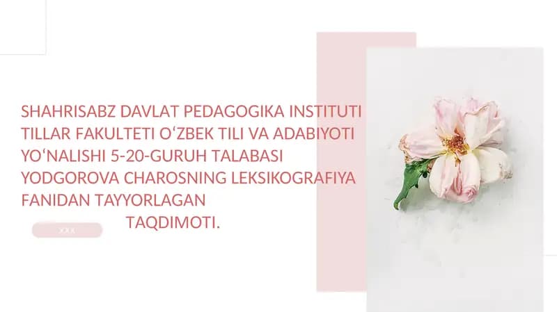Lug‘atlar tizimi