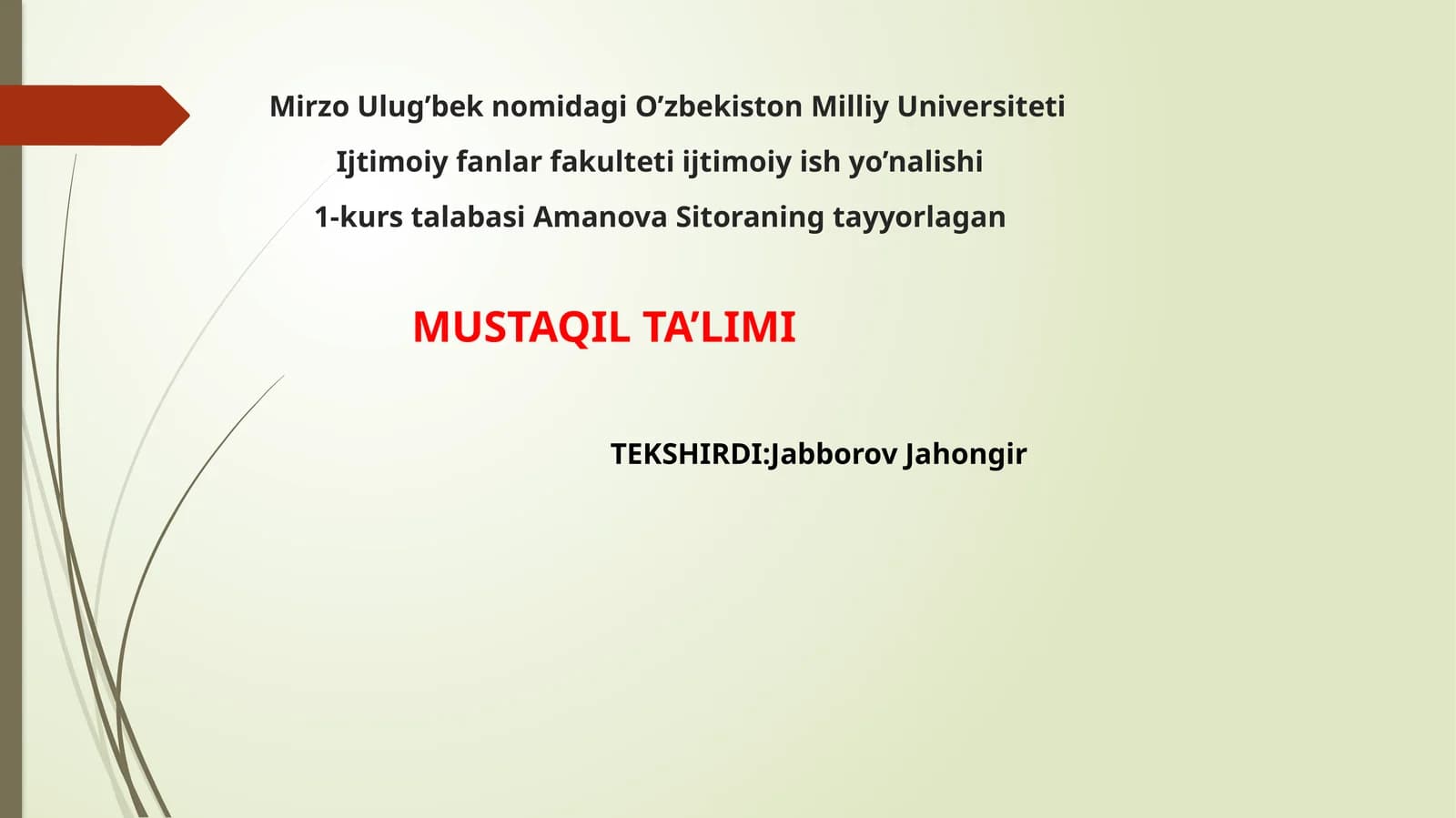 Nogironligi bor bolalar bilan ijtimoiy ish
