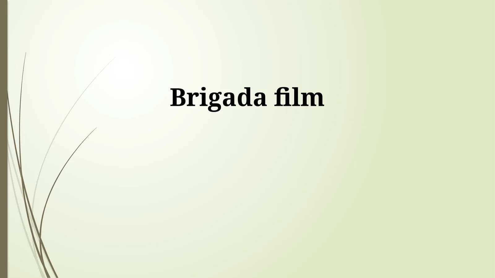 Brigada film