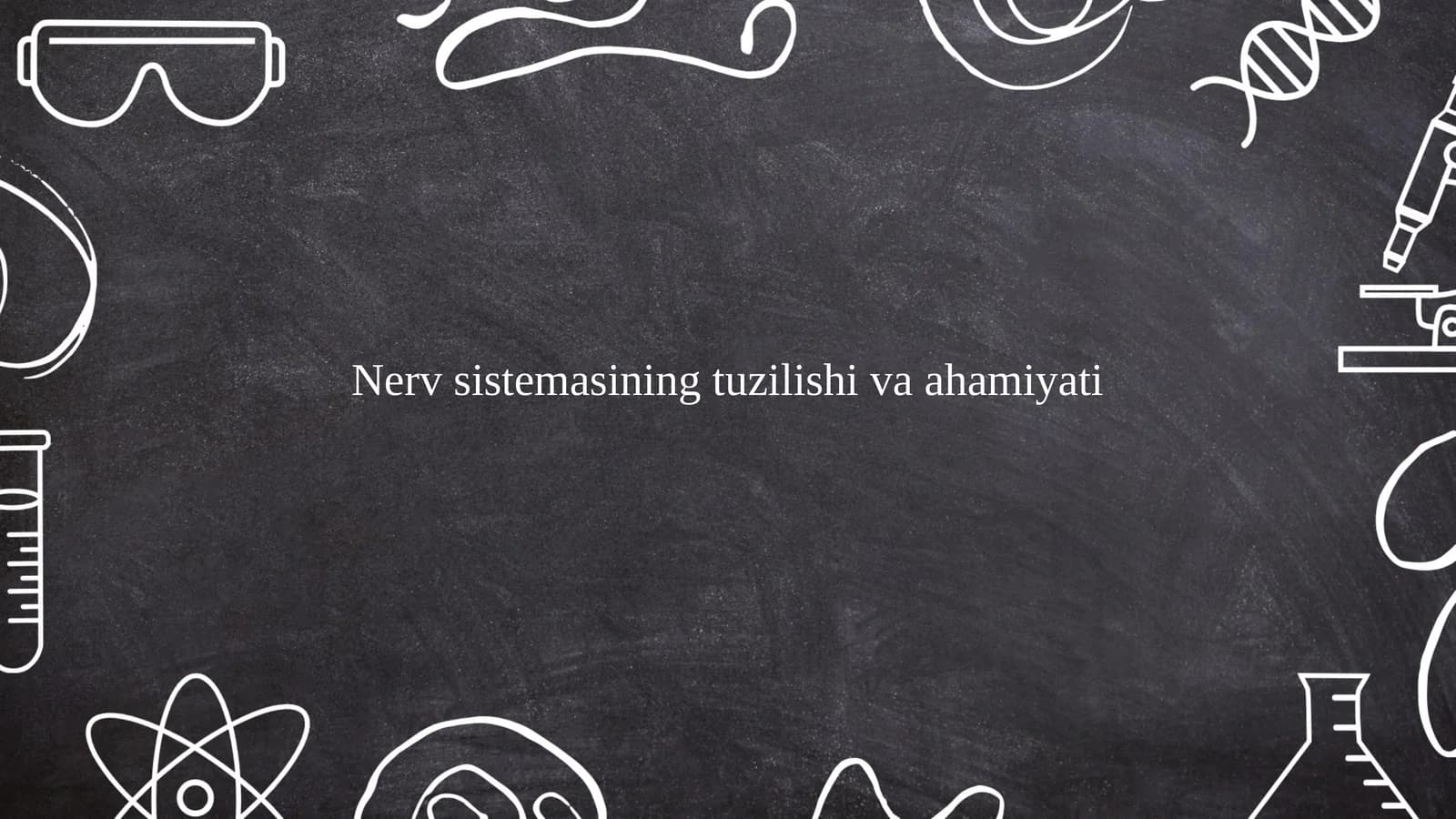 Nerv sistemasining tuzilishi markaziy nerv sestemasi