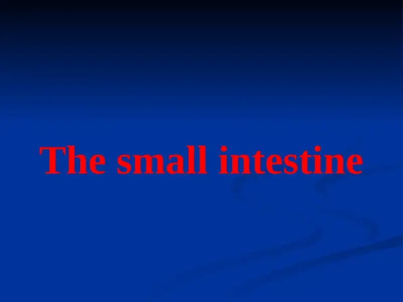 The small intestine