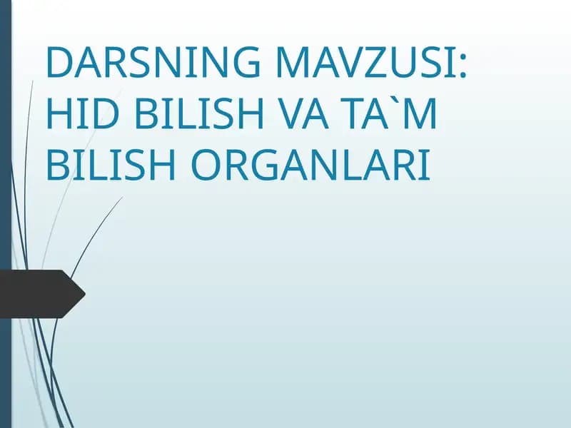 HID BILISH VA TA`M BILISH ORGANLARI