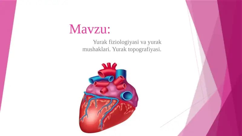 Yurak Fiziologiyasi va Topografiyasi