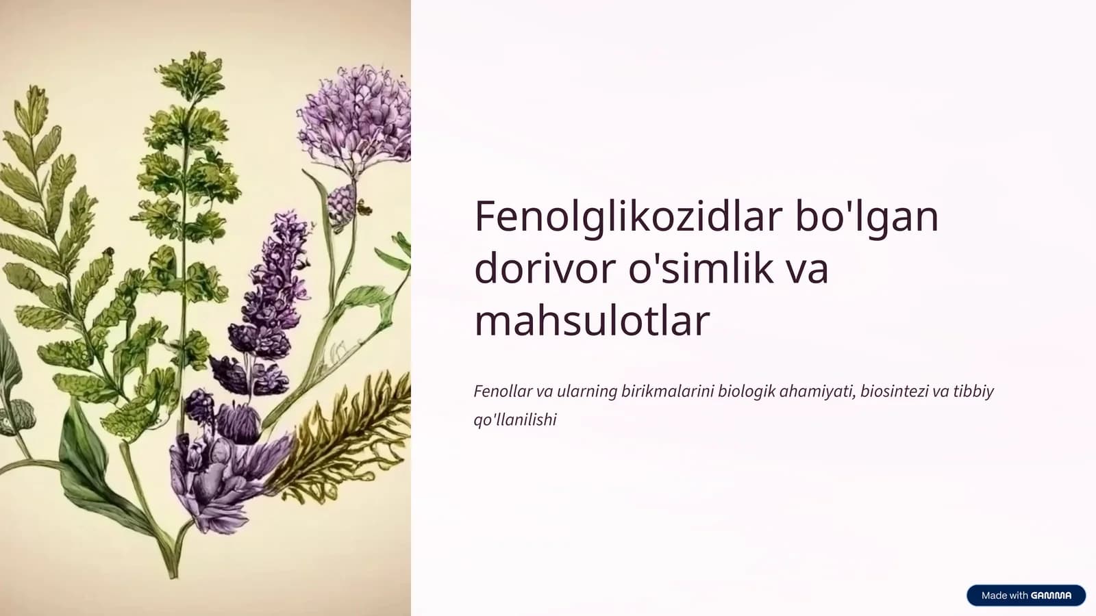 Fenolglikozidlar bo'lgan dorivor o'simlik va mahsulotlar