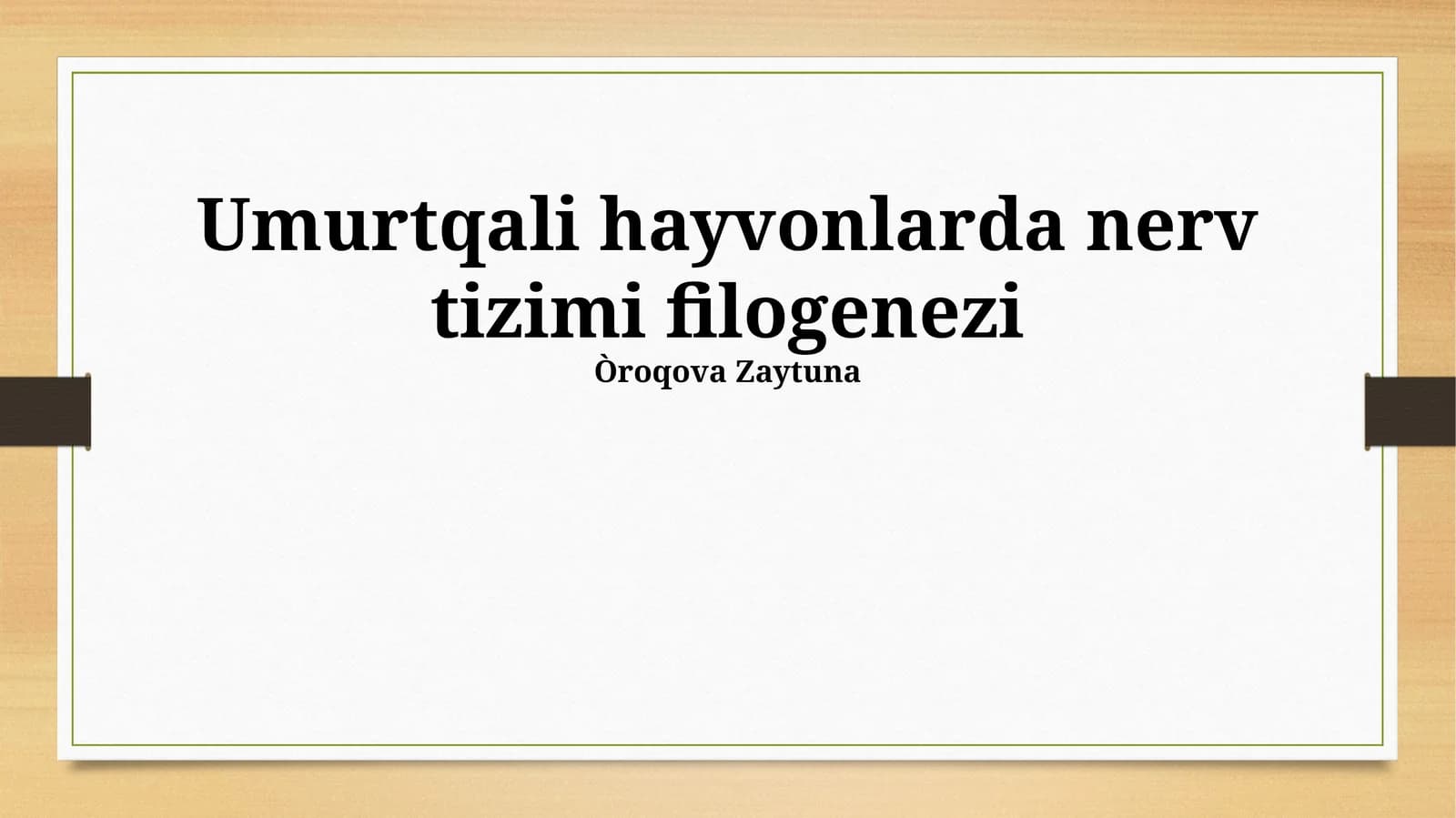 Umurtqali hayvonlarda nerv tizimi filogenezi