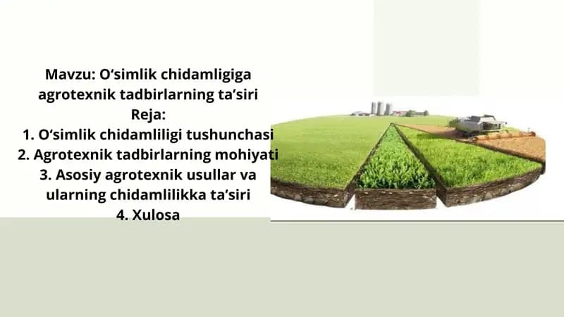 O‘simlik chidamligiga agrotexnik tadbirlarning ta’siri