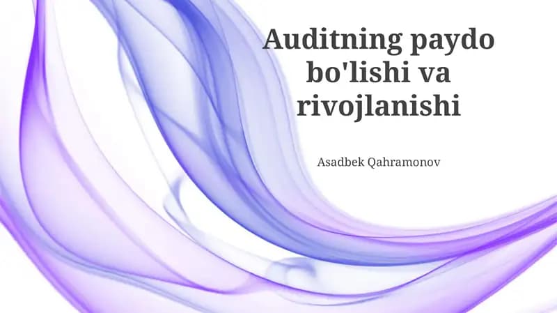 Zamonaviy Audit Texnologiyalari va Standartlari