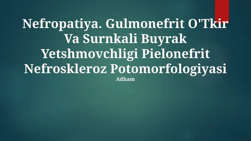 Nefropatiya. Gulmonefrit O'Tkir Va Surnkali Buyrak Yetshmovchligi Pielonefrit Nefroskleroz Potomorfologiyasi