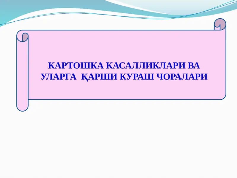 КАРТОШКА КАСАЛЛИКЛАРИ ВА УЛАРГА  ҚАРШИ КУРАШ ЧОРАЛАРИ