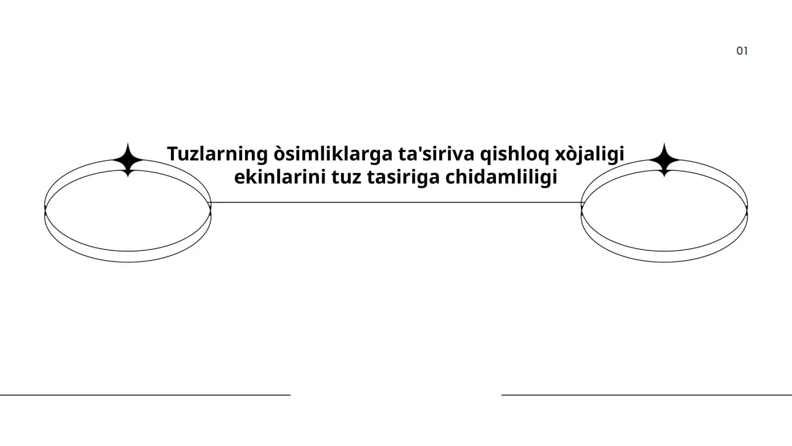 Tuzlarning òsimliklarga ta'siriva qishloq xòjaligi ekinlarini tuz tasiriga chidamliligi