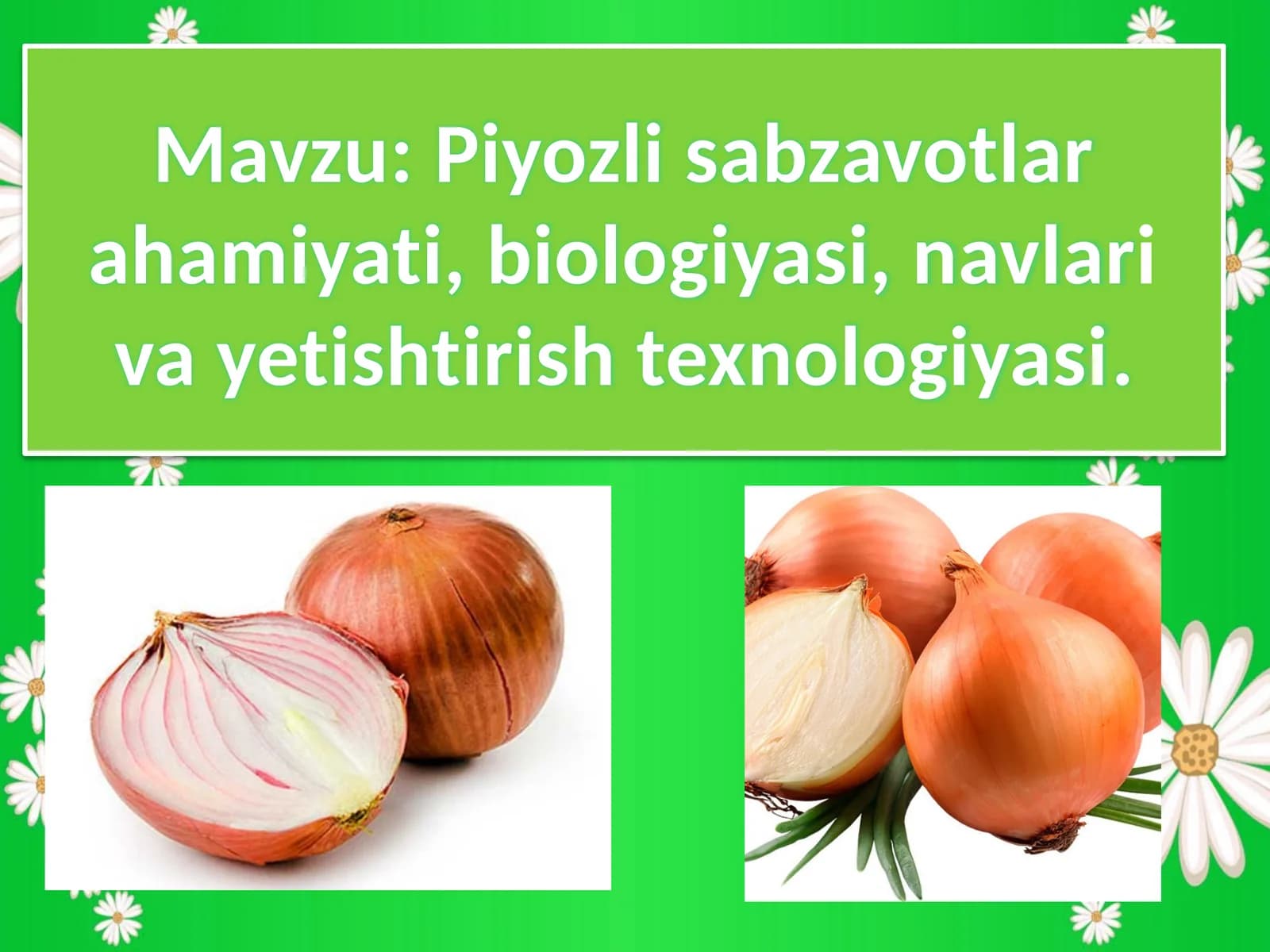 Boshpiyoz sabzavotlarining biologiyasi