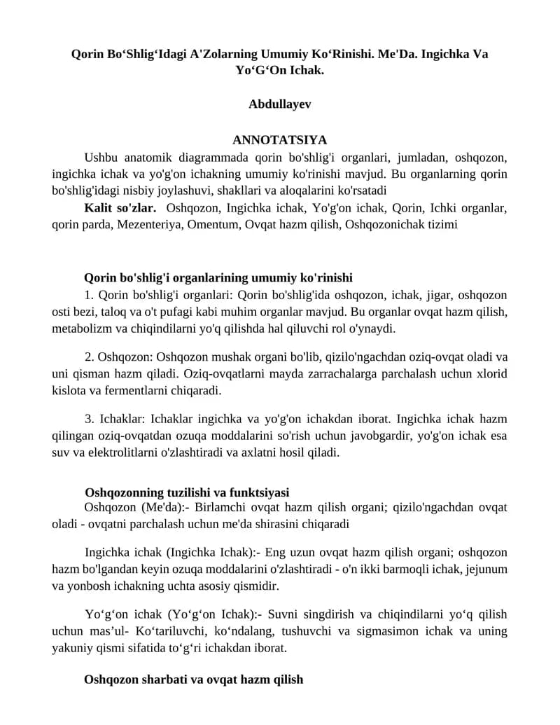 Qorin BoʻShligʻIdagi A'Zolarning Umumiy KoʻRinishi