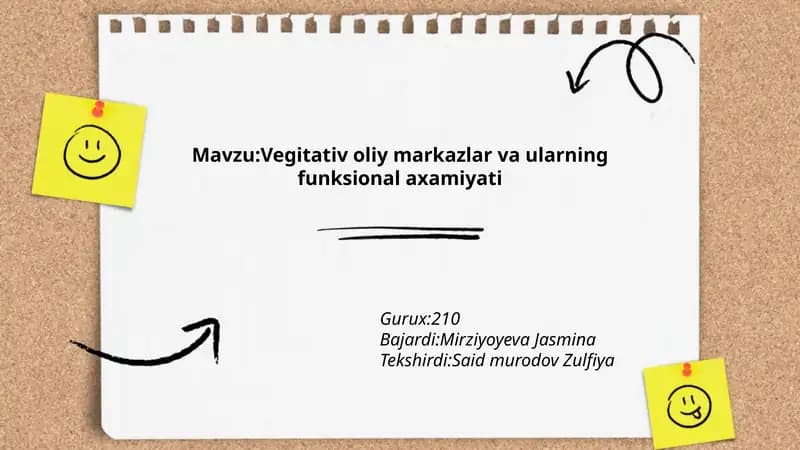 Vegitativ oliy markazlar va ularning funksional axamiyati