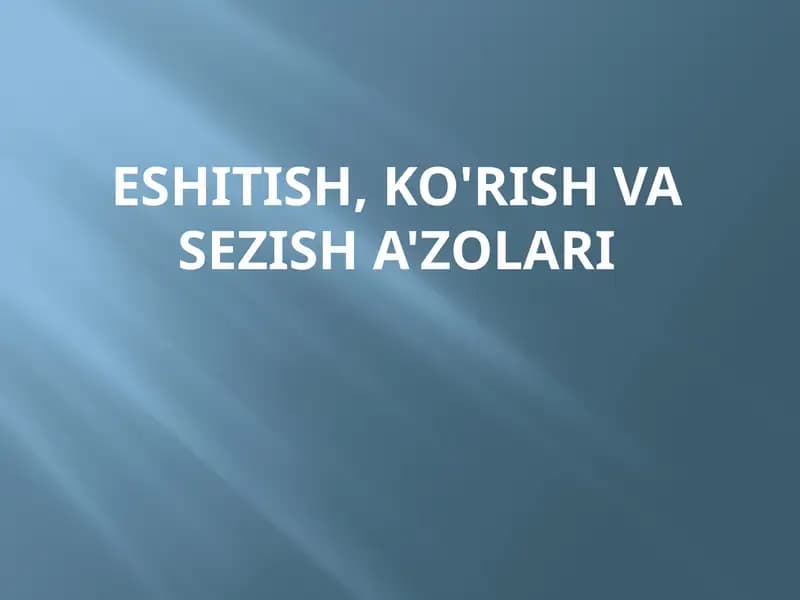 Sensor Tizimining Tekshirish Usullari