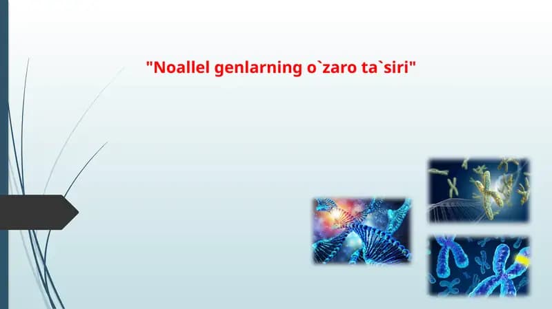 "Noallel genlarning o`zaro ta`siri"