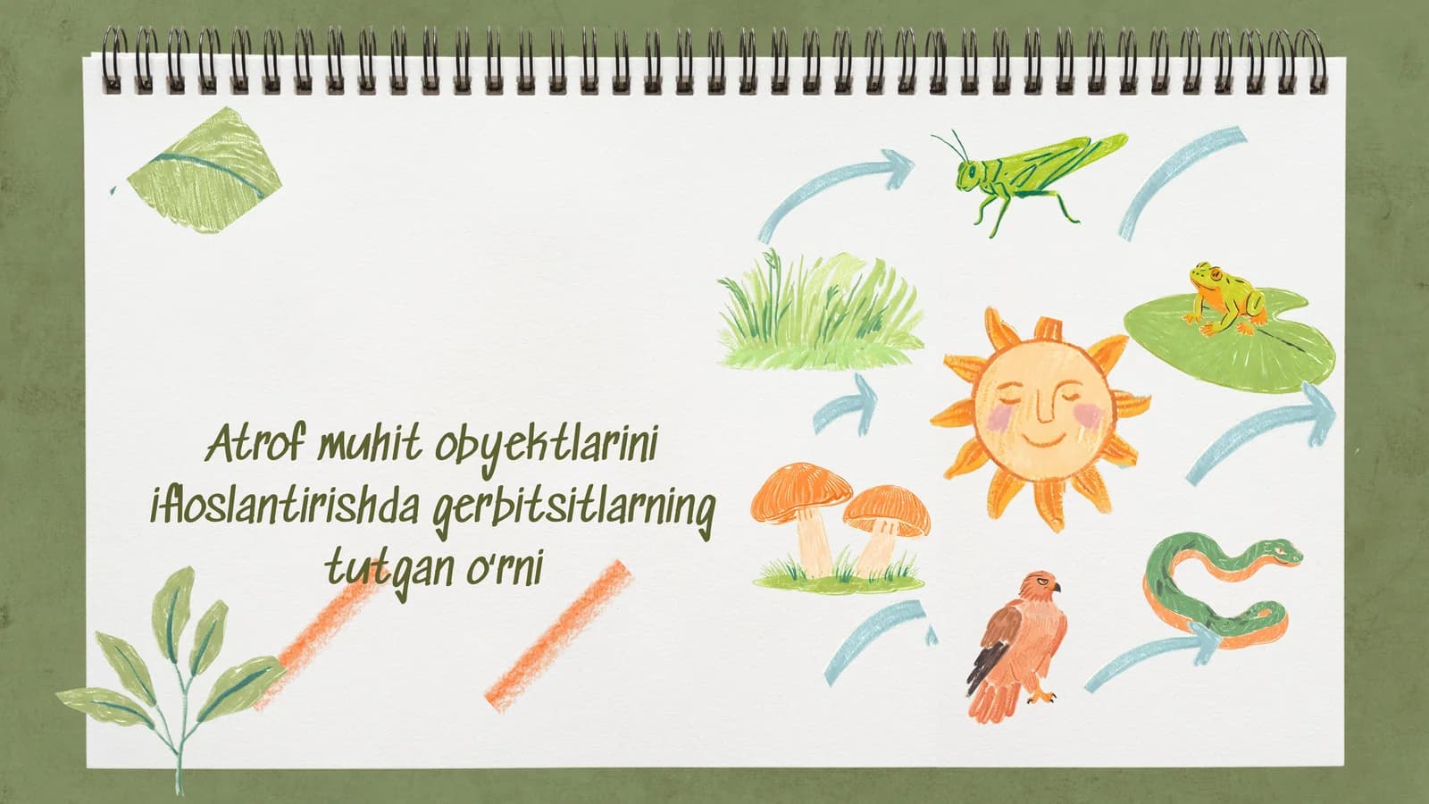 Atrof muhit obyektlarini ifloslantirishda gerbitsitlarning tutgan oʻrni