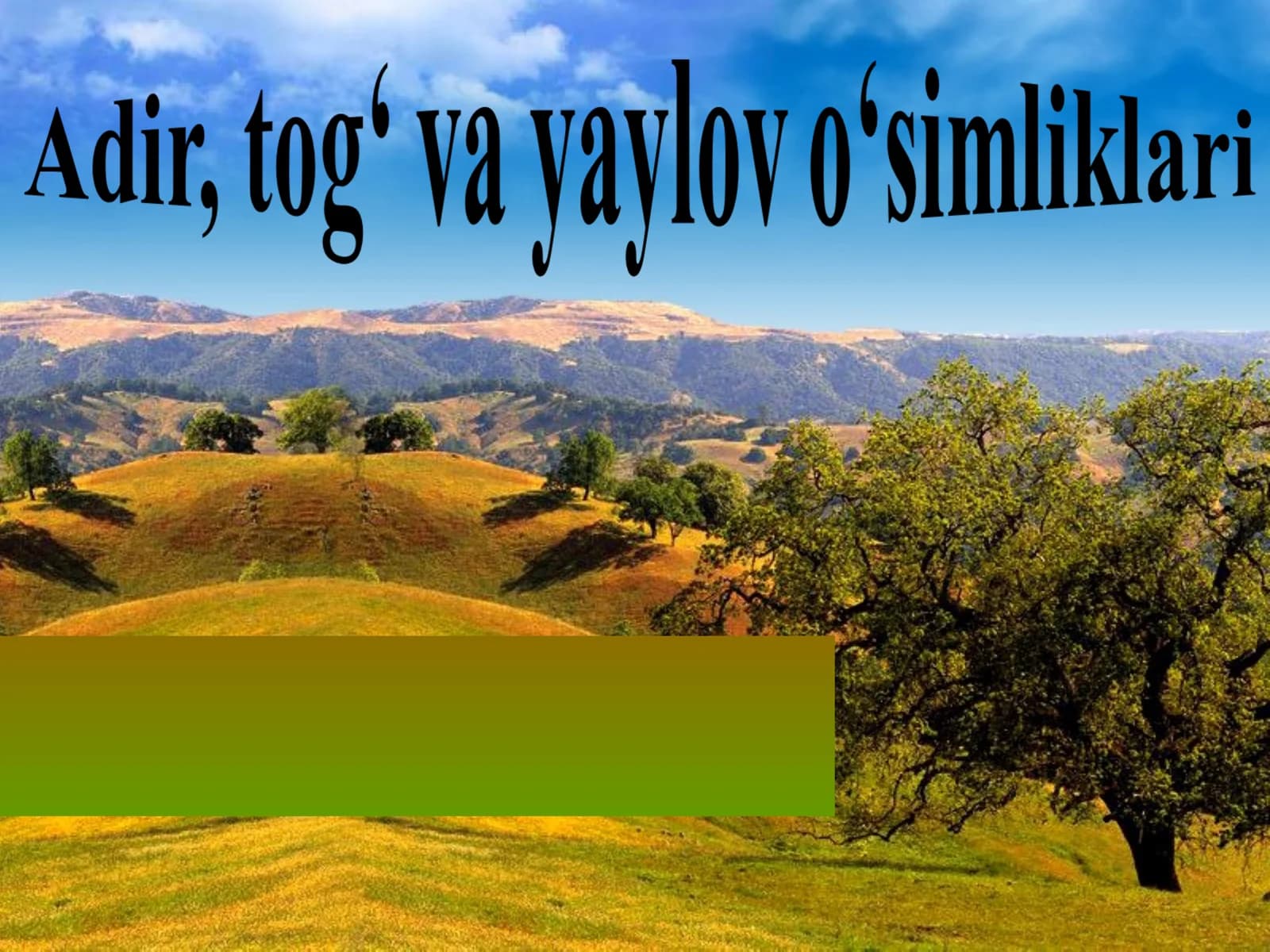 O'rta Osiyo adir, tog‘ va yaylov o‘simliklari