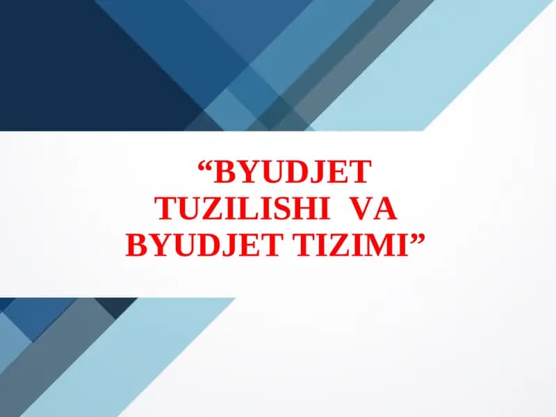 BYUDJETTUZILISHIVABYUDJETTIZIMI