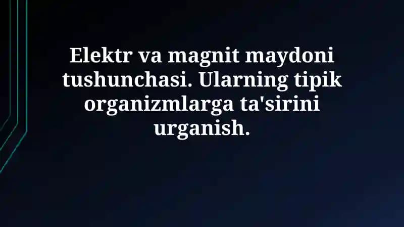 Elektromagnit maydonlar