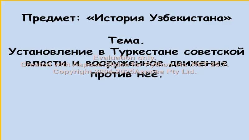 Установление в Туркестане советской власти и вооруженное движение против неё