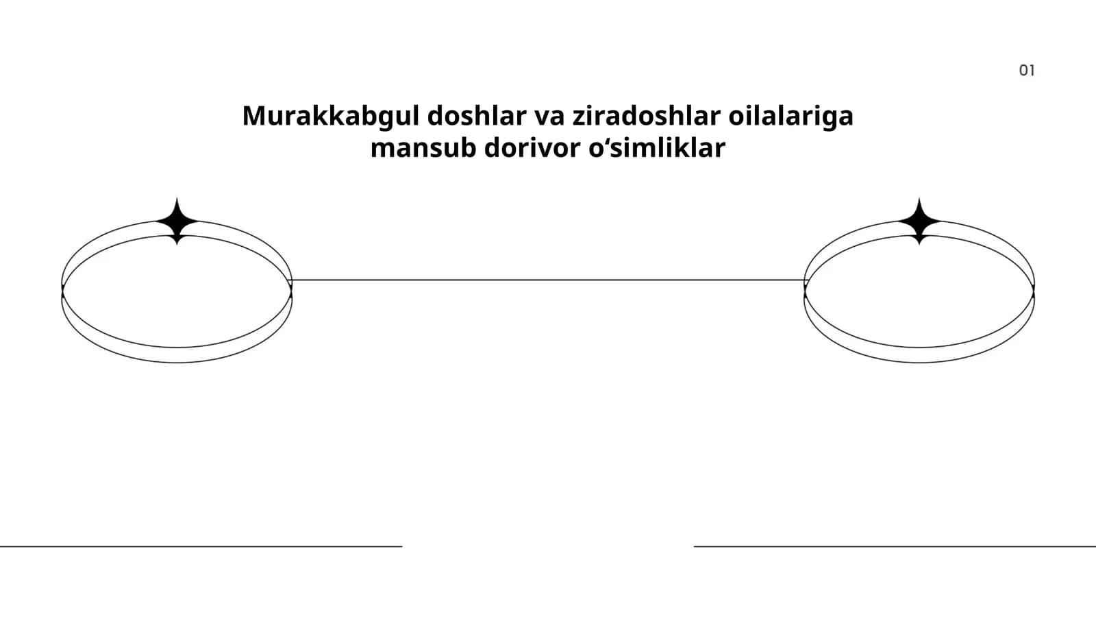 Murakkabgul doshlar va ziradoshlar oilalariga mansub dorivor o‘simliklar