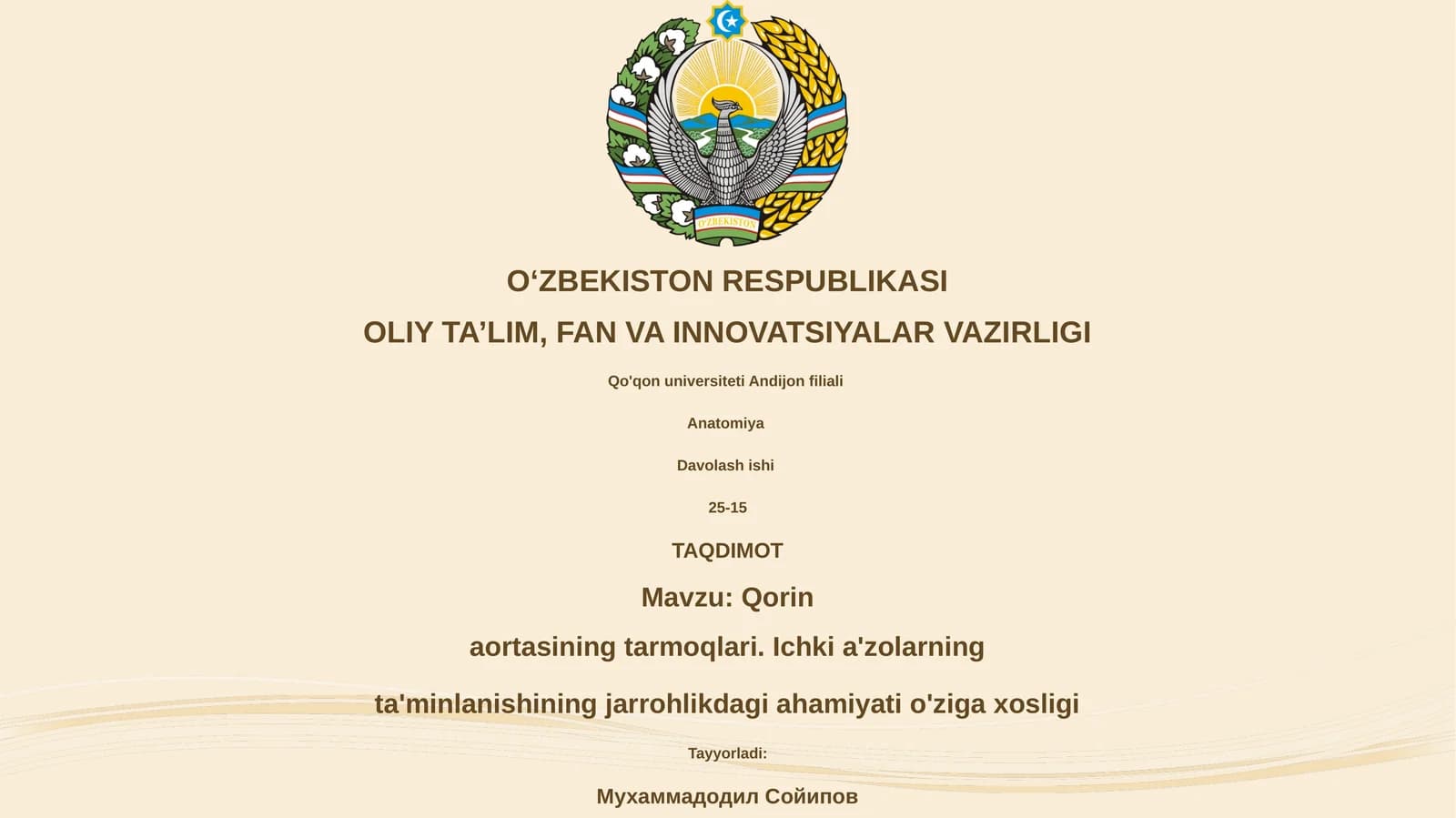 Qorin aortasi