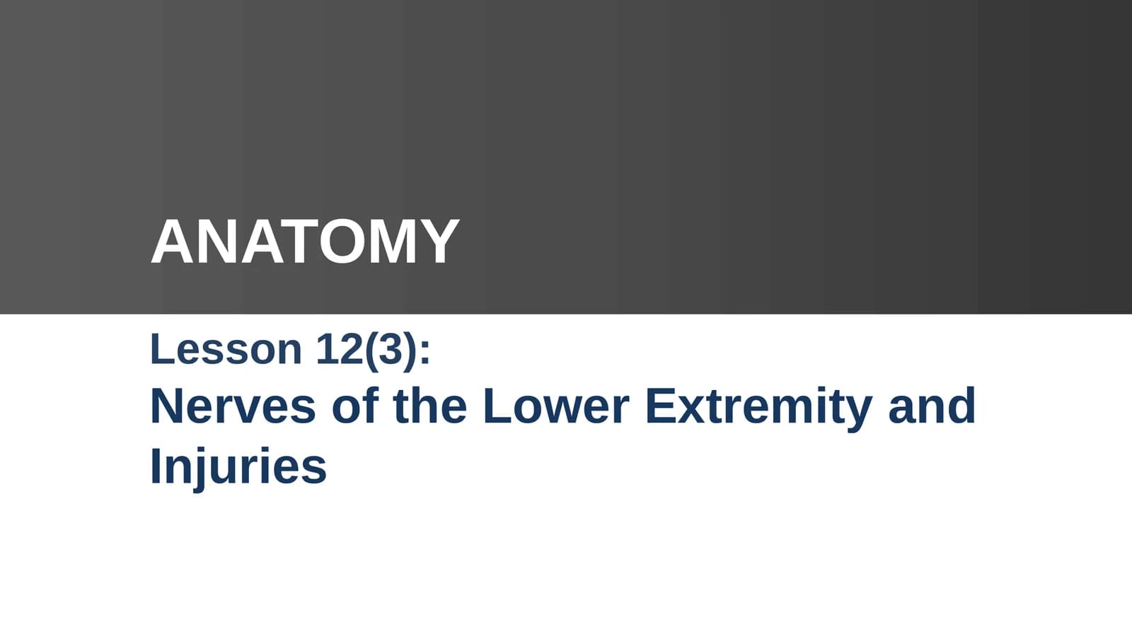 Lesson 12: Nerves of the Lower Extremity and Injuries