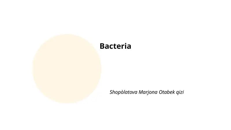 Bacteria