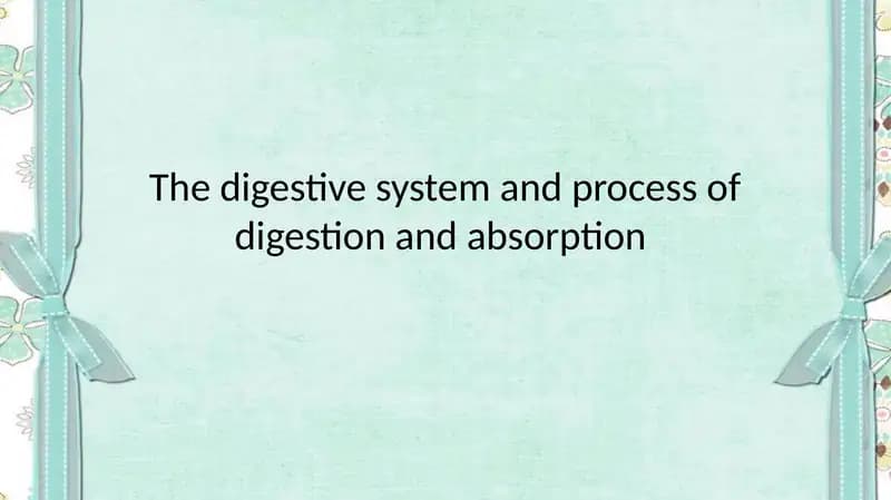 The digestive system and process of digestion and absorption