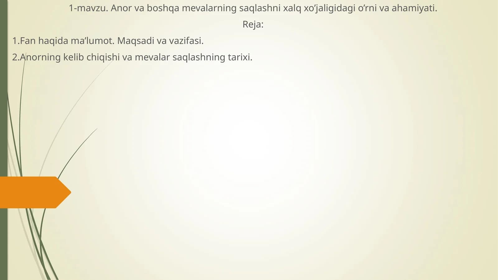 Anor va boshqa mevalarning saqlashni xalq xo’jaligidagi o’rni va ahamiyati